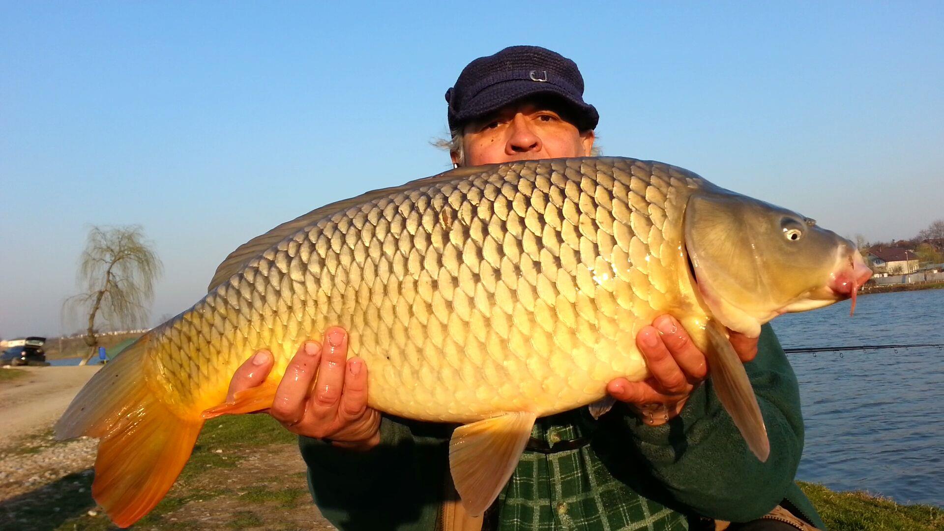 Diverse - 2014-03-14-192518.jpg